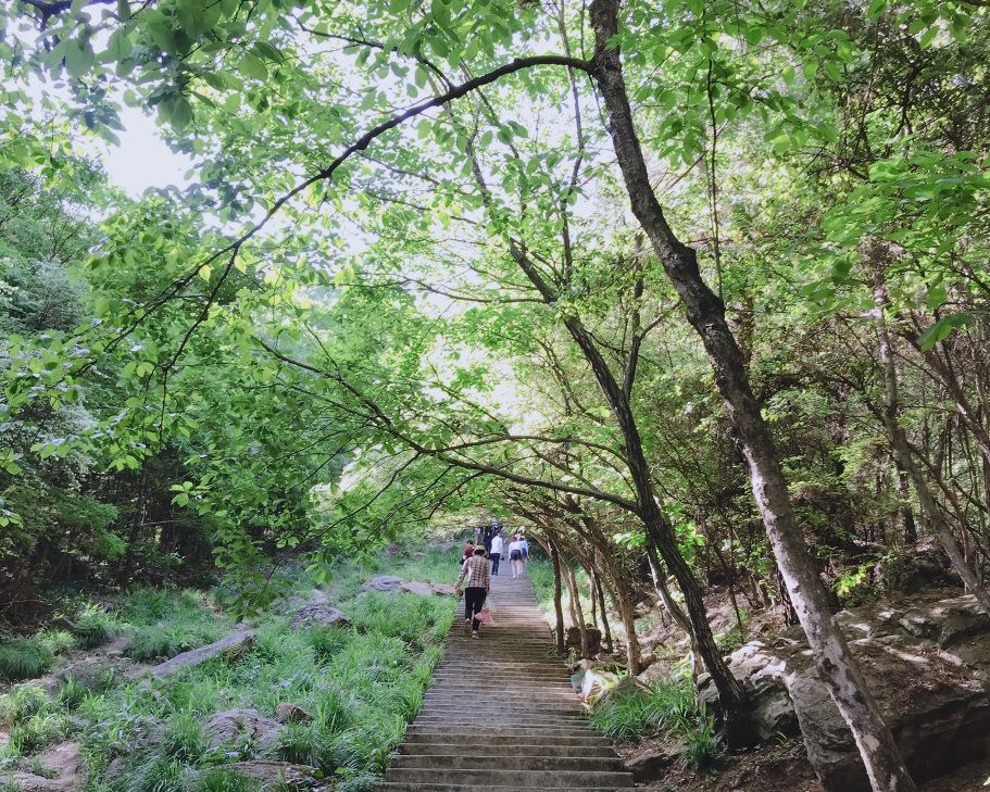 武汉公园免费景点推荐,武汉免费看花景点