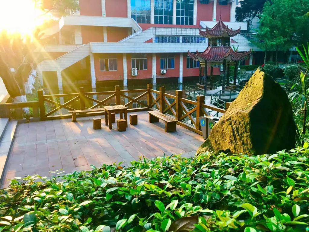 重庆一中与巴蜀中学哪个好,重庆一中全校前十名