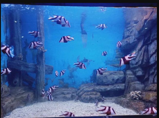 常州金鹰海洋世界门票,常州海洋金鹰海洋世界