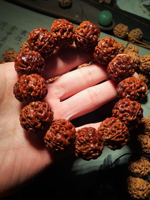 玩金刚菩提的9大误区,金刚菩提的基本知识