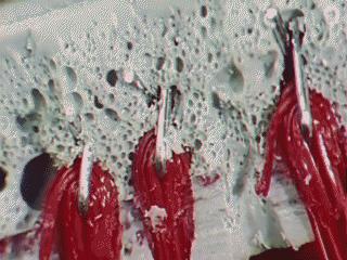 海绵上凹凸花纹怎么弄出来的,海绵怎么切又完整又好看