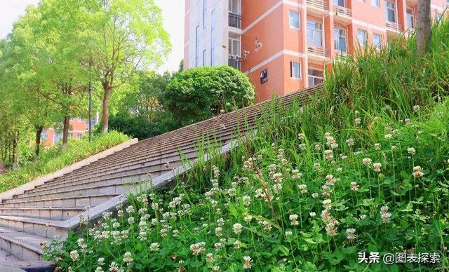 湖南信息学院最近的消息,本科评估湖南信息学院