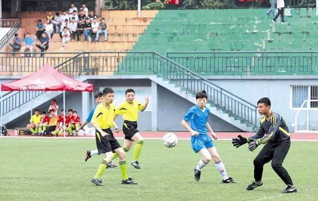 从牢笼到幸福的旅程,从牢笼到另一个牢笼