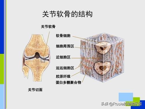 爱穿高跟鞋带来的烦恼,爱穿高跟鞋如何保护脚