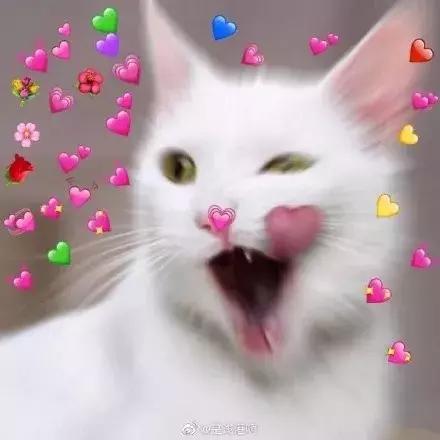 深圳的nike折扣店,广州nike折扣店都在哪