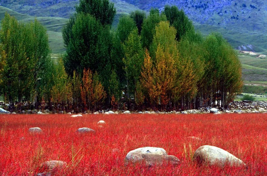 这个9月,老子不上班!一定要请假去稻城亚丁