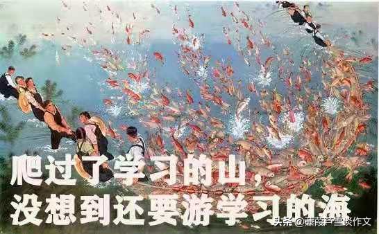 常考的应用文写作,常考应用文写作高中语文