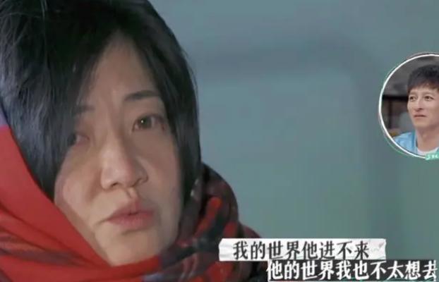 带娃离婚的影后，19年无爱婚姻的歌手，“致郁”的婚姻太可怕……