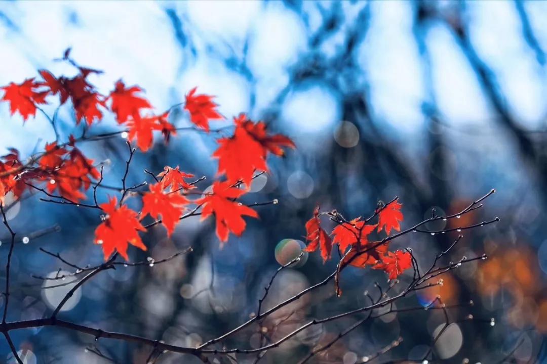 雕弓阅读理解题及答案,雕弓读报
