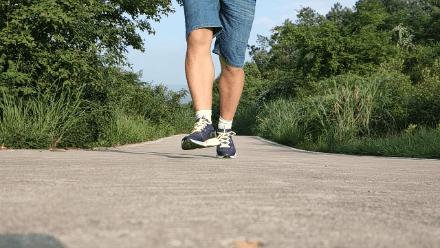 迪卡侬基础缓震跑鞋测评,迪卡侬kd800跑鞋测评