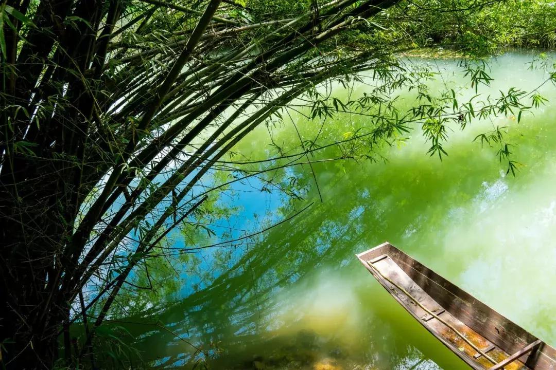 夏天的古诗词唯美,诗词里的夏天朗诵