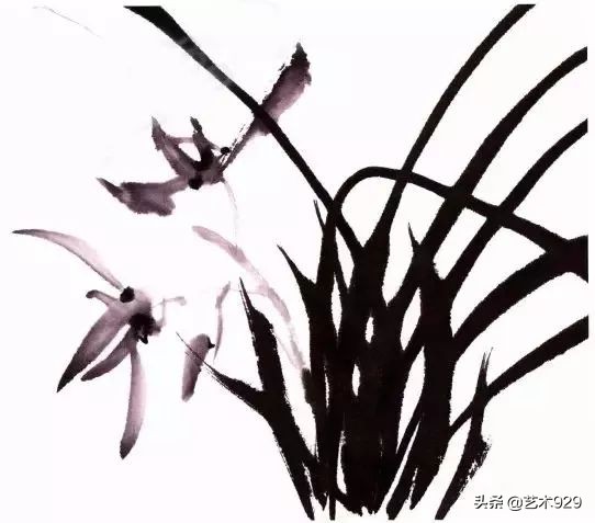 国画兰花的画法太棒了简单易学,泰国兰花绘画技法