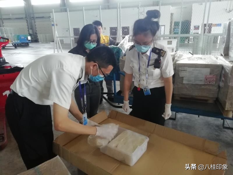 几经波折，马来西亚200公斤净燕抵达广西