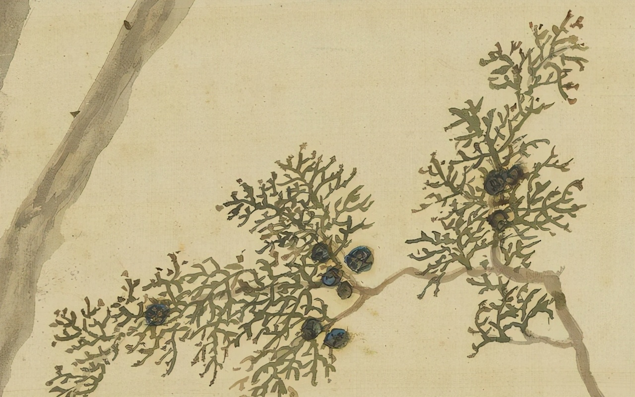 闻香如参禅，僧人清修所用香方