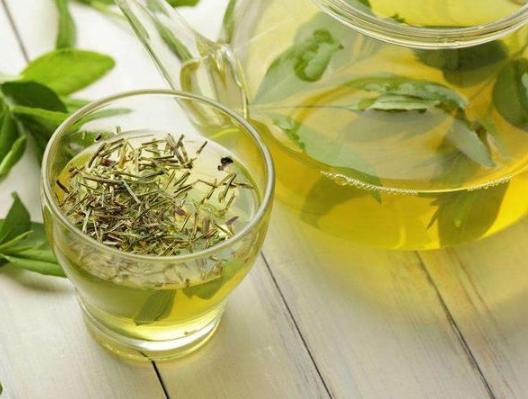 家庭盆栽废茶渣沤肥,牛奶和淘米水沤肥