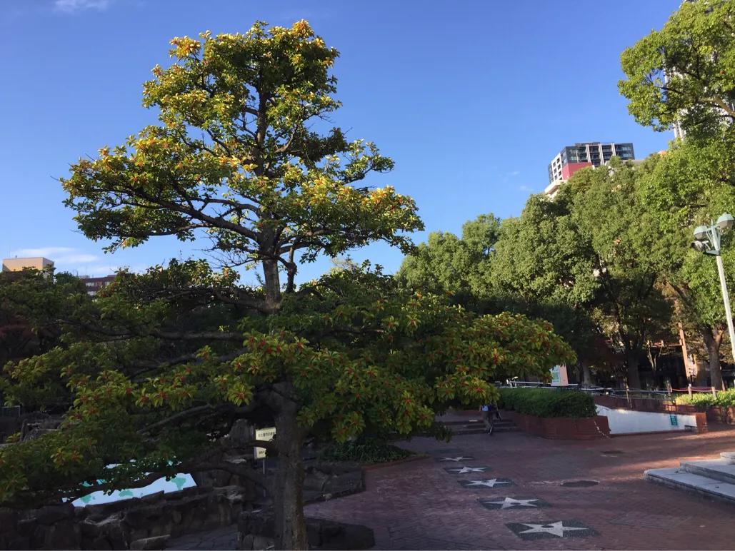 名古屋旅行游记,名古屋游记一日游