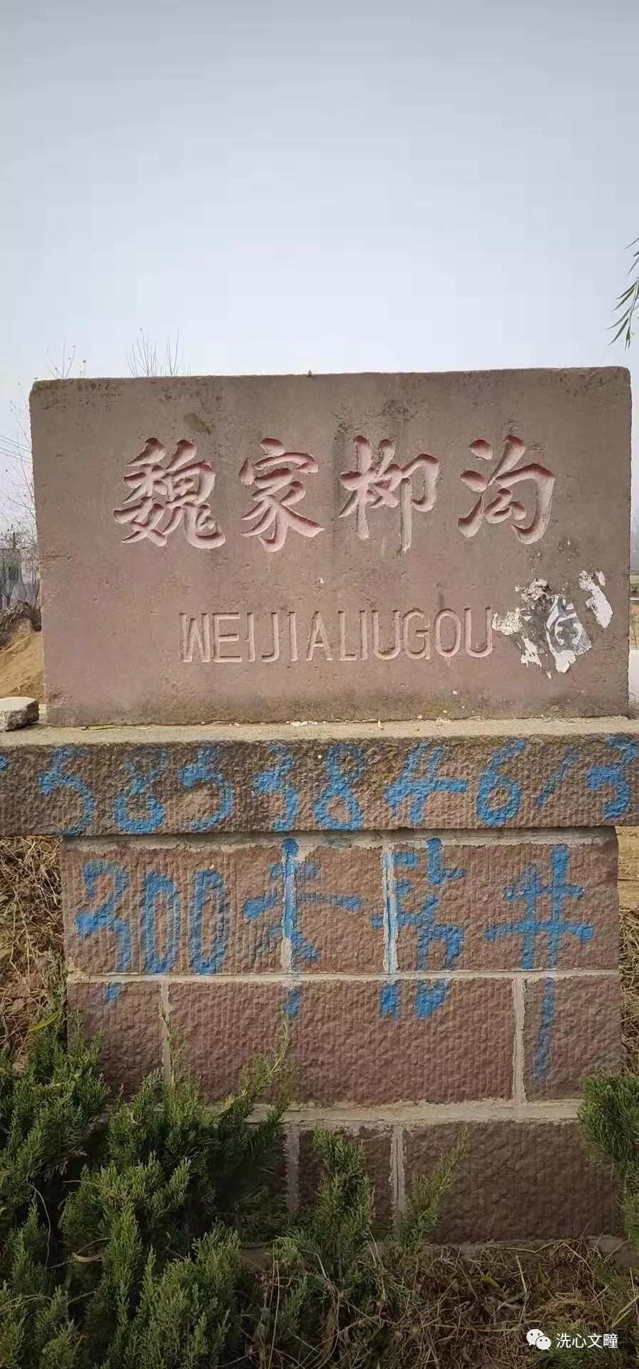 莒南县柳沟乡,莒南魏家柳沟