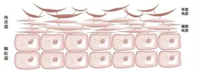 精华液的正确使用方法和步骤,精华液的正确使用方法是怎样的呢