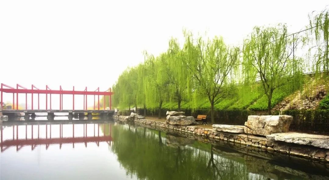 青岛黄海学院2020年本科招生简章,青岛黄海学院2023招生简章章程