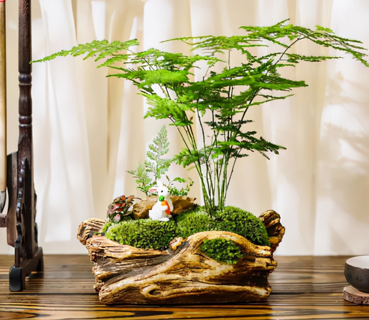 如何选择家中花卉植物盆栽,家庭常见的盆栽花卉的养护与管理