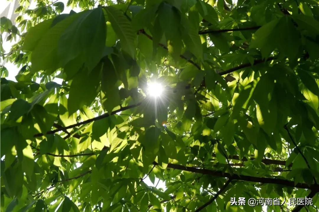 急性心梗心脏骤停救活几率,超急性期心肌梗死怎么办