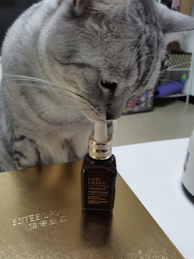 雅诗兰黛小棕瓶紧致精华,雅诗兰黛小棕瓶精华适合肤质