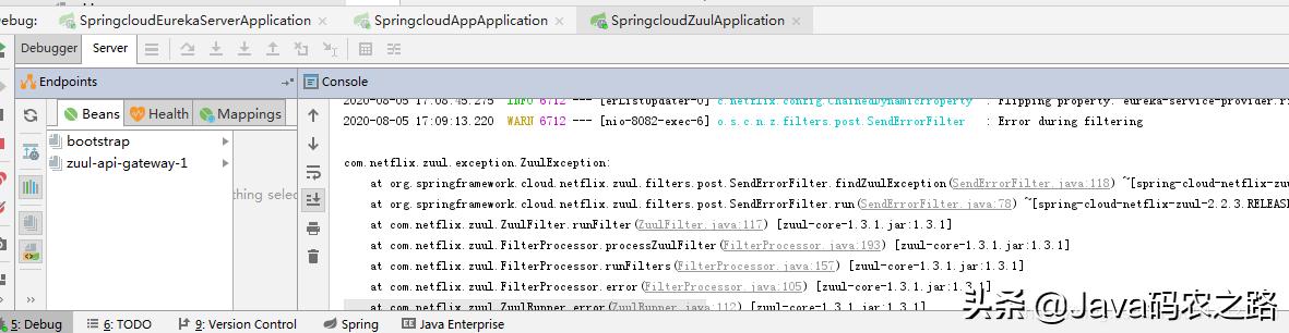 api网关nginx,api网关防止恶意调用