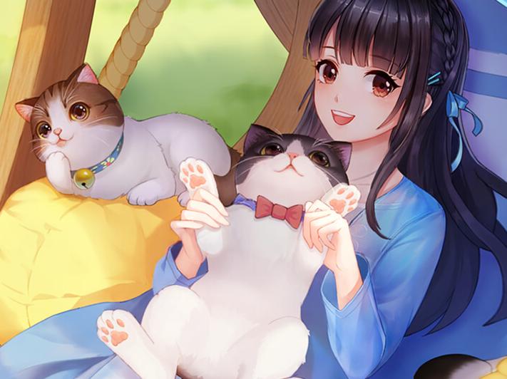 云养猫真的有便利吗,真养猫和云养猫的区别