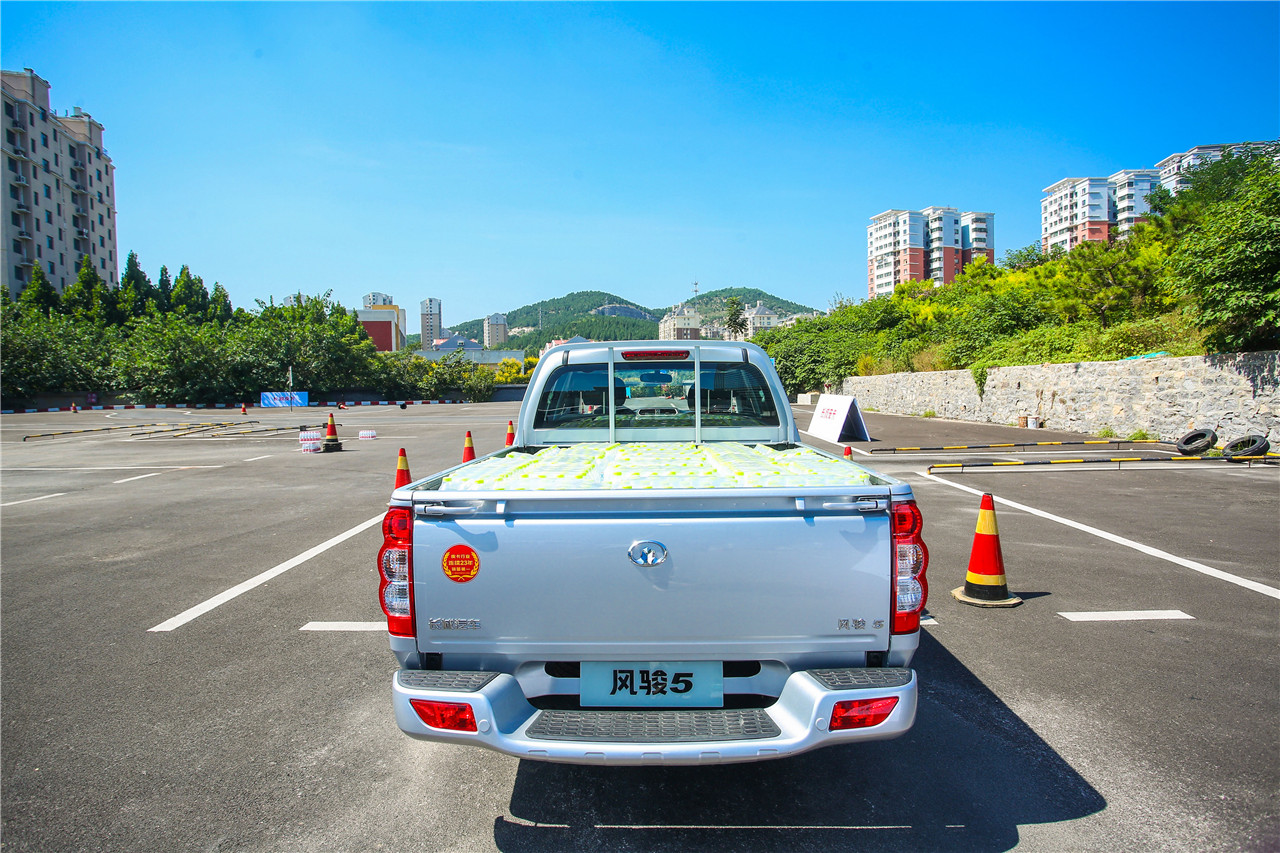 6.98万起长城风骏5干饭版上市,长城风骏5干饭版落地价