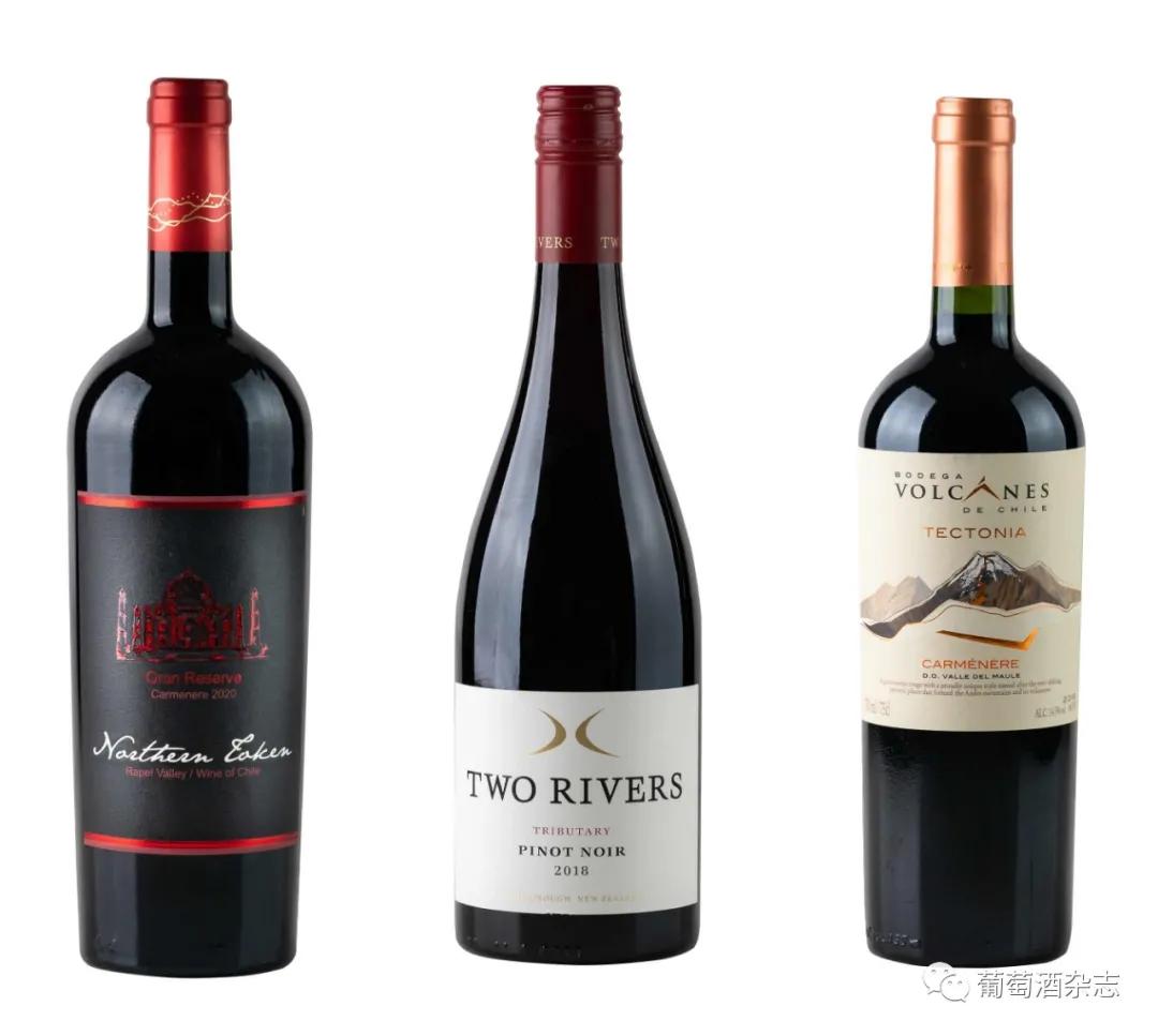 第十届金樽奖银奖,第十三届金奖颁奖全过程