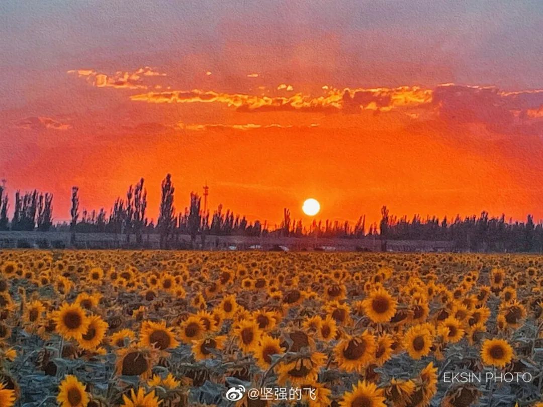 学*党**史、办实事｜“画中村”曲许尔盖