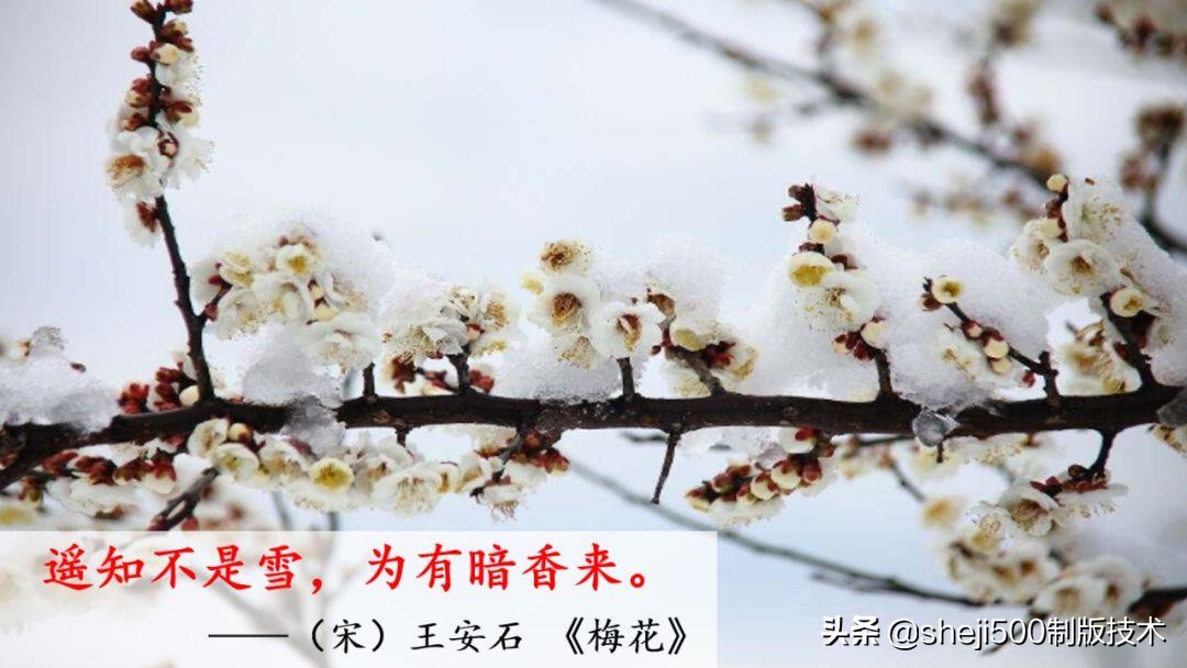 一年级下册识字春夏秋冬生字视频,一年级语文下册春夏秋冬课文朗读