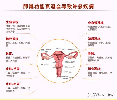 不孕症、月经量少、闭经？可能是卵巢早衰