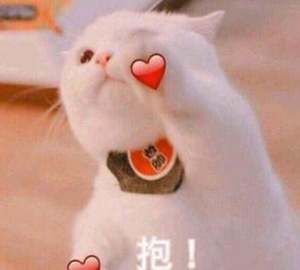 剑网三时装价格查询,剑网3衣服在哪里买