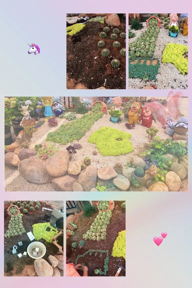 冬去春来,愿你无恙,疫情退去,养肉依旧!