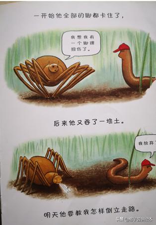 蚯蚓的日记绘本好词好句,100个最经典的绘本蚯蚓的日记