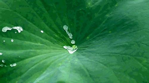 手机消毒用什么方法最好,教你如何给手机消毒又学一招