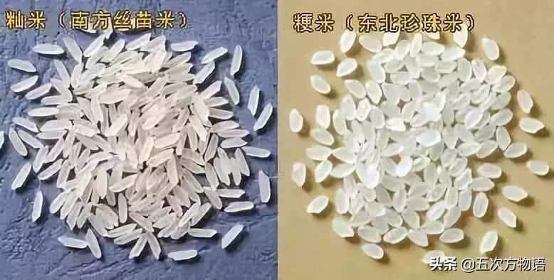 很多粮食作物原产南美洲,中国第一大粮食作物