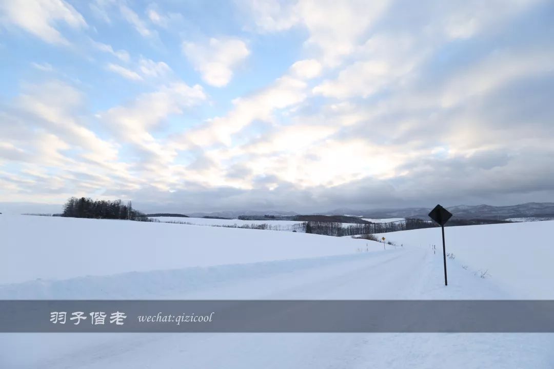老实说,这一趟北海道就是为了拍好看的照片去的