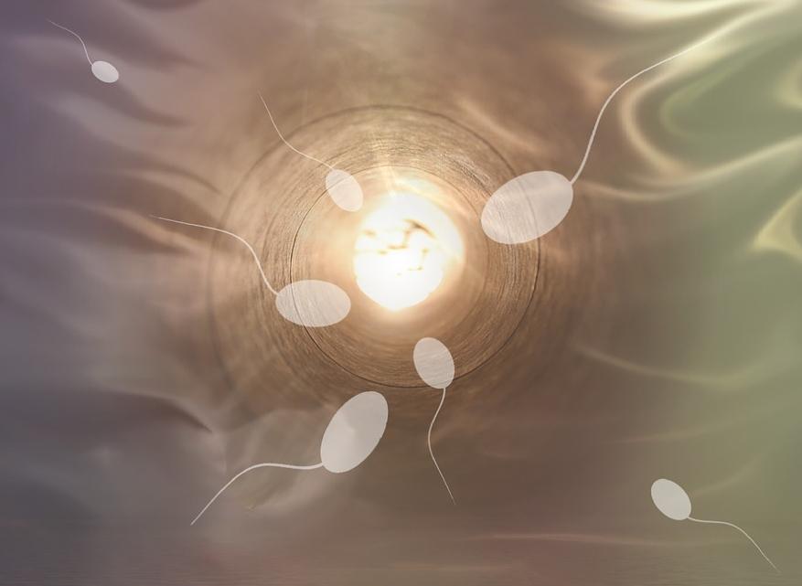 鑻卞浗濂冲瓙缃戜笂璐拱閽堢瓛,閽堢瓛浜哄伐鎺堢簿