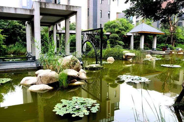 绿意绕绕一路行