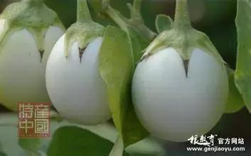 世界稀奇水果品种大全,世界热带奇特水果品种介绍