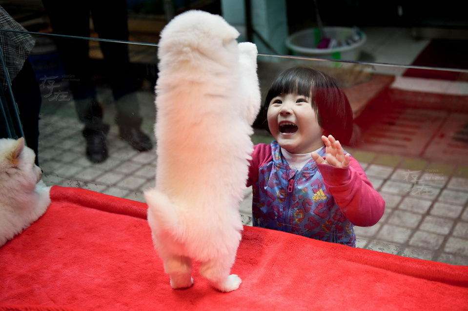 谁还不是个宝宝绘本解读,谁还不是个宝宝呢用日语怎么说