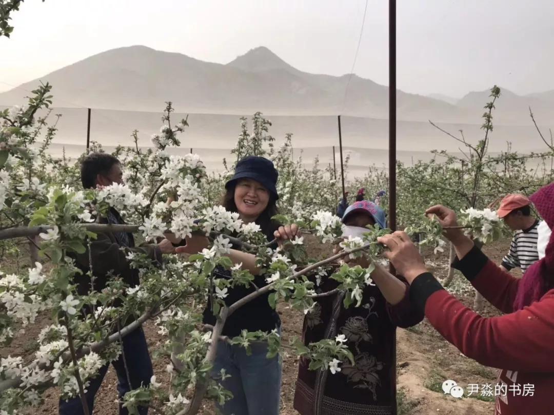 种苹果籽的人,种李子的人