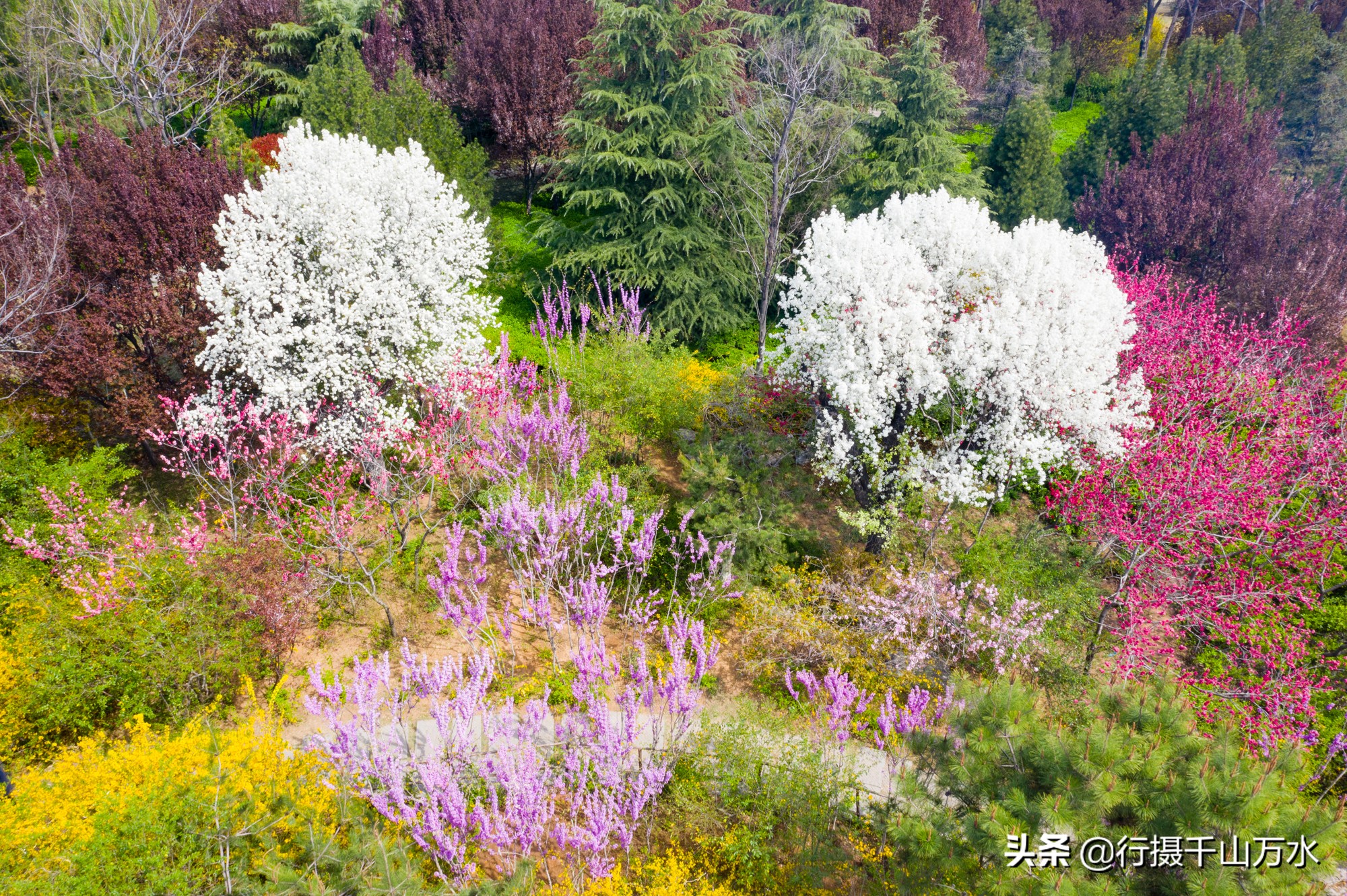 济南森林公园色彩斑斓秋意渐浓,济南今年的森林公园风景如画