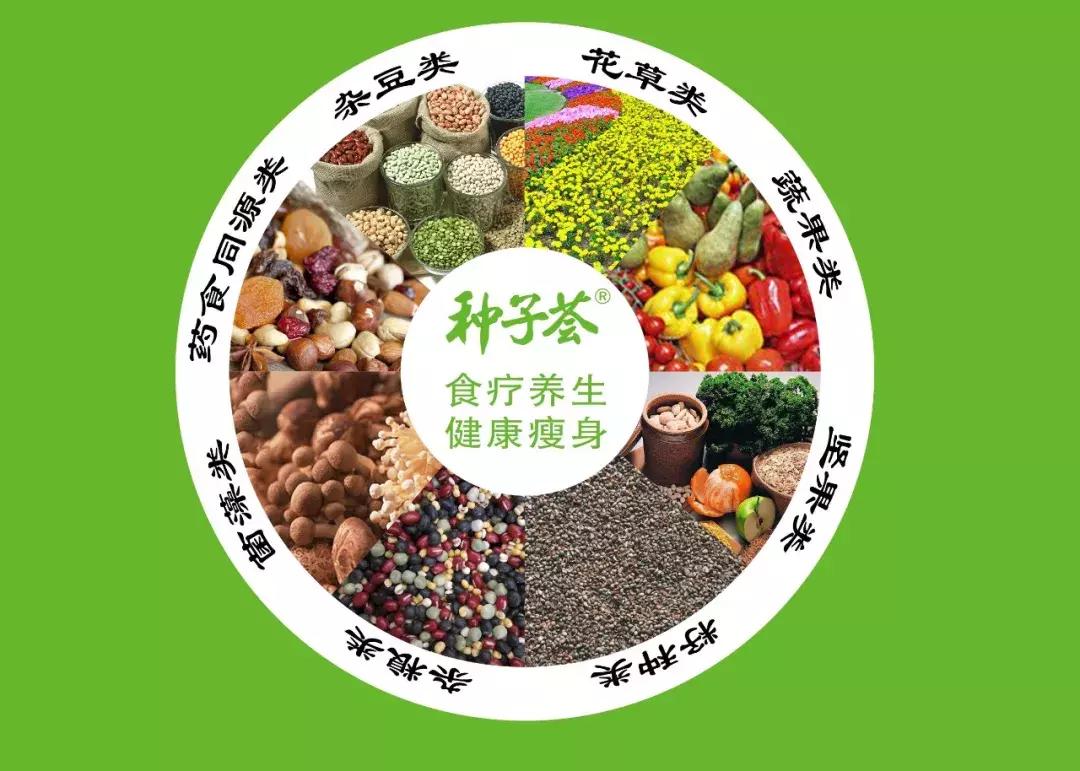 寒凉体质不适合吃素食吗,不正常的饮食规律会影响食欲吗