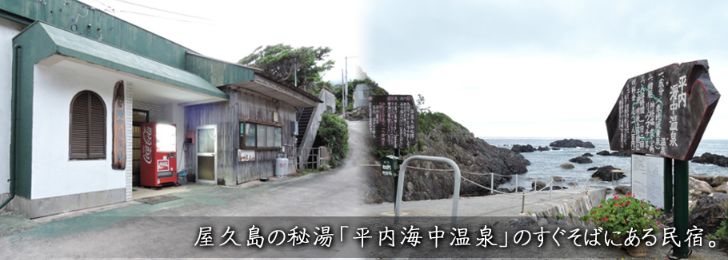 日本传统旅馆和中式民宿区别,日本酒店式公寓和民宿的区别