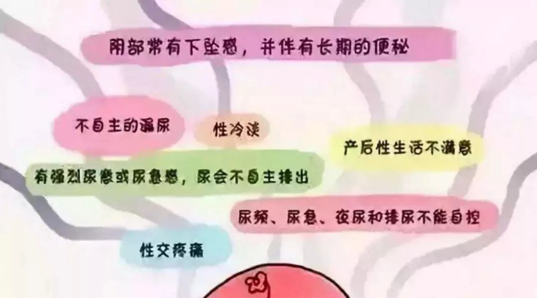 「盆底健康」重视盆底健康，笑迎安逸生活