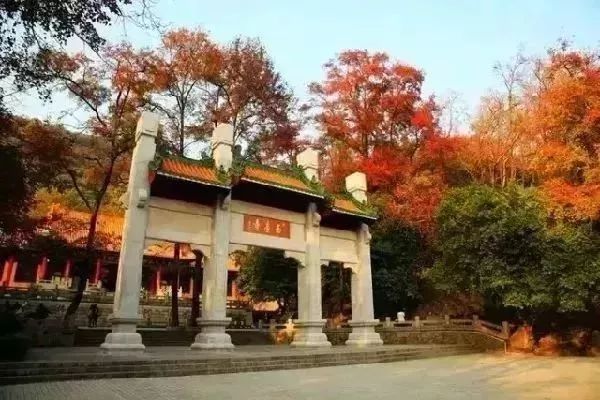 东莞周边11月份赏红叶好去处,东莞观音山看红叶攻略