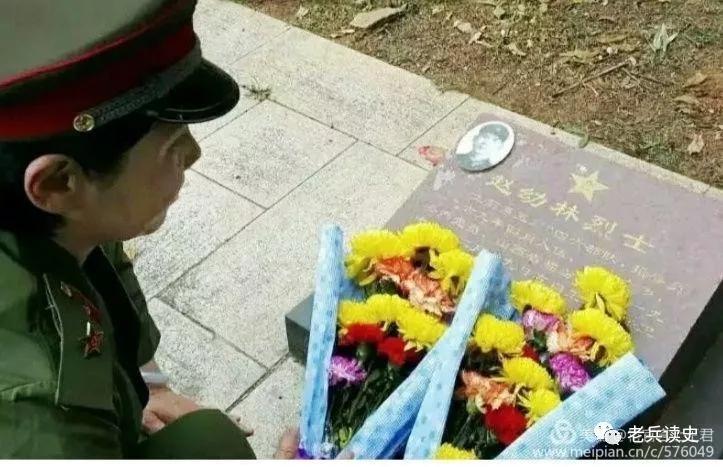 军旗下的红十字全集,军旗下的红十字作者杜冬云